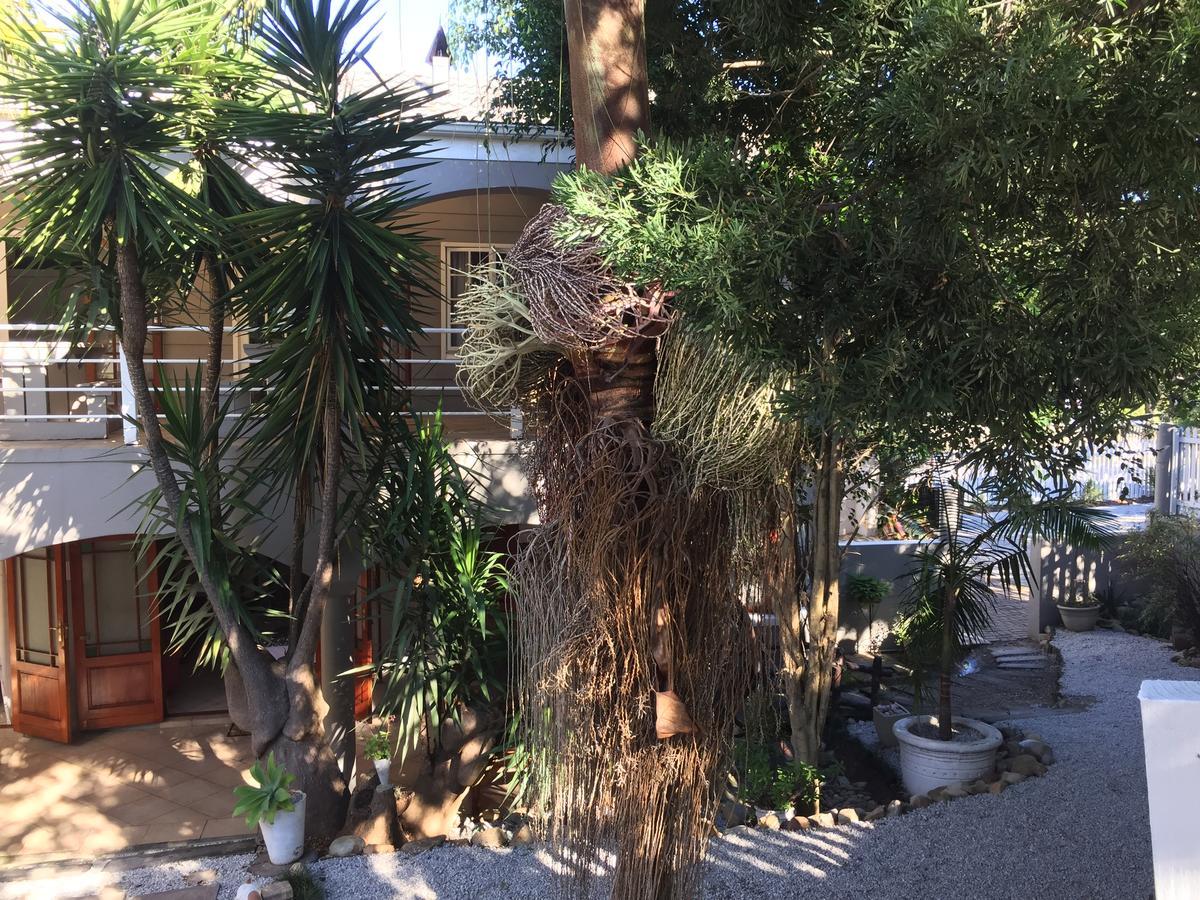 Knysna N2 Lodge Dış mekan fotoğraf
